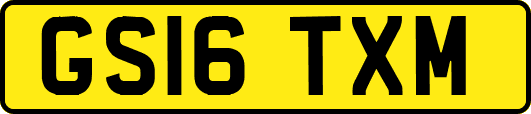 GS16TXM