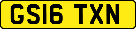 GS16TXN