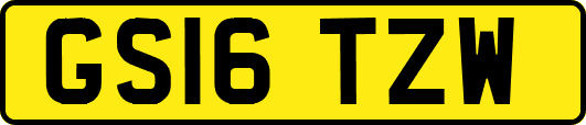 GS16TZW