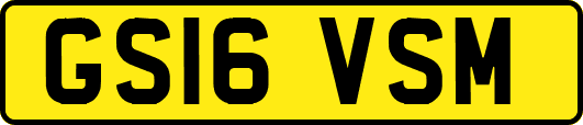 GS16VSM