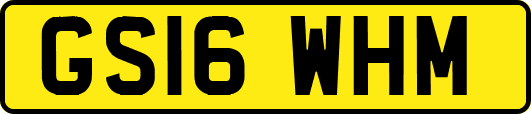 GS16WHM