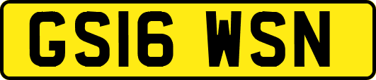 GS16WSN