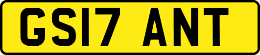 GS17ANT