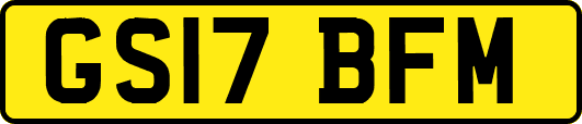 GS17BFM