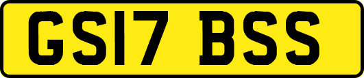 GS17BSS