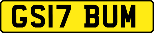 GS17BUM