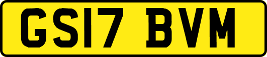 GS17BVM