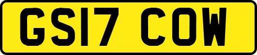 GS17COW