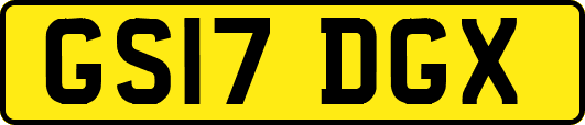 GS17DGX