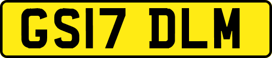 GS17DLM