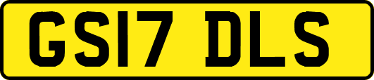 GS17DLS