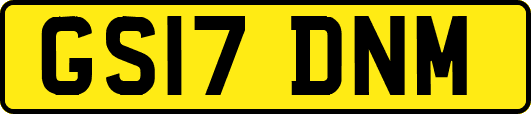 GS17DNM