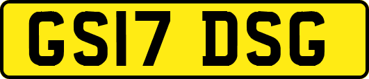 GS17DSG