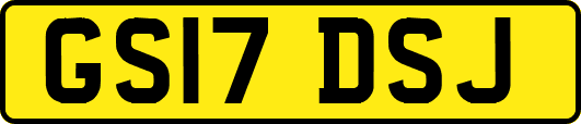 GS17DSJ