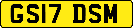 GS17DSM