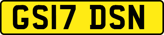 GS17DSN