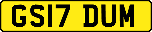 GS17DUM