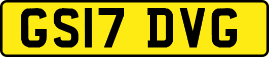 GS17DVG