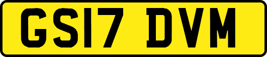 GS17DVM