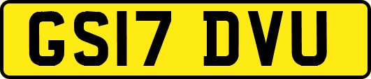 GS17DVU
