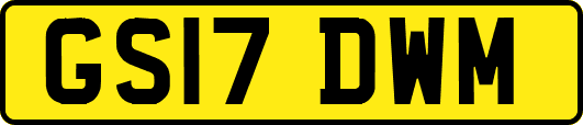 GS17DWM