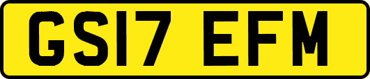 GS17EFM