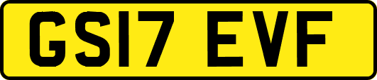 GS17EVF