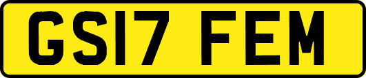 GS17FEM