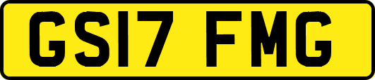 GS17FMG