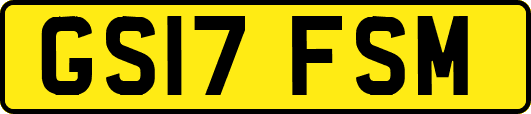 GS17FSM