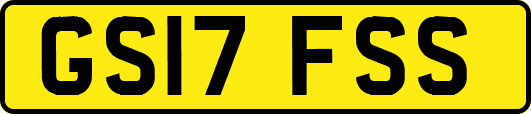GS17FSS
