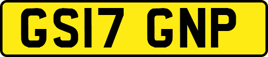 GS17GNP