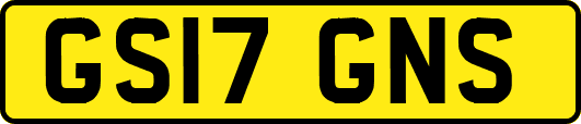 GS17GNS
