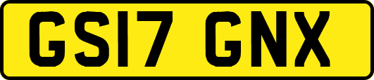 GS17GNX