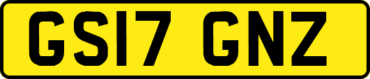 GS17GNZ