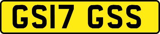GS17GSS