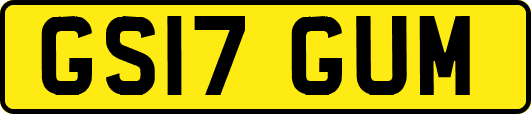 GS17GUM