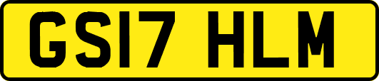 GS17HLM