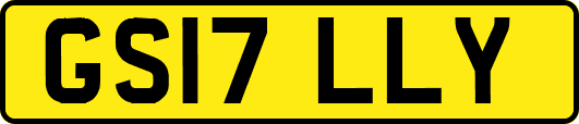 GS17LLY