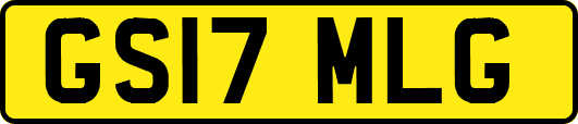 GS17MLG