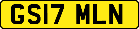 GS17MLN