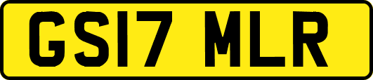 GS17MLR