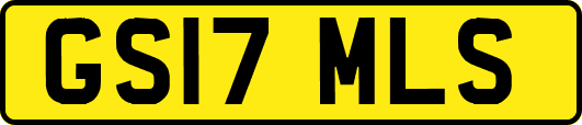 GS17MLS