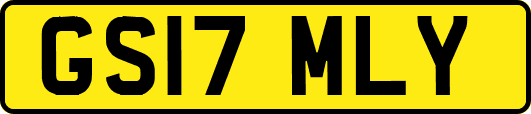 GS17MLY