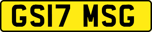 GS17MSG