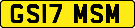GS17MSM