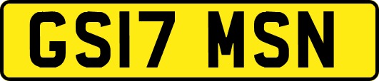 GS17MSN