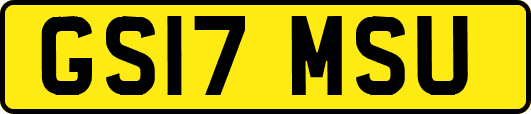 GS17MSU