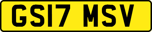GS17MSV