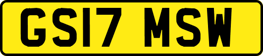 GS17MSW